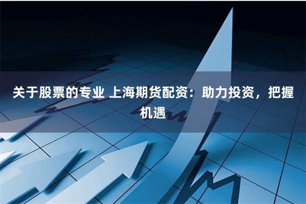 关于股票的专业 上海期货配资：助力投资，把握机遇
