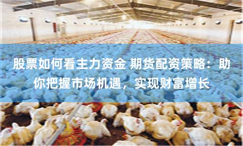 股票如何看主力资金 期货配资策略：助你把握市场机遇，实现财富增长