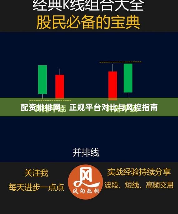 配资排排网：正规平台对比与风控指南